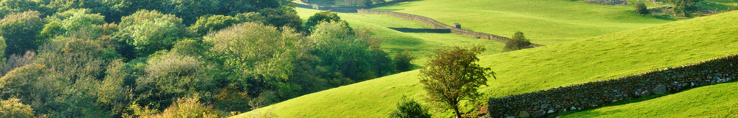 SustainBanner-5 ESG and Sustainability